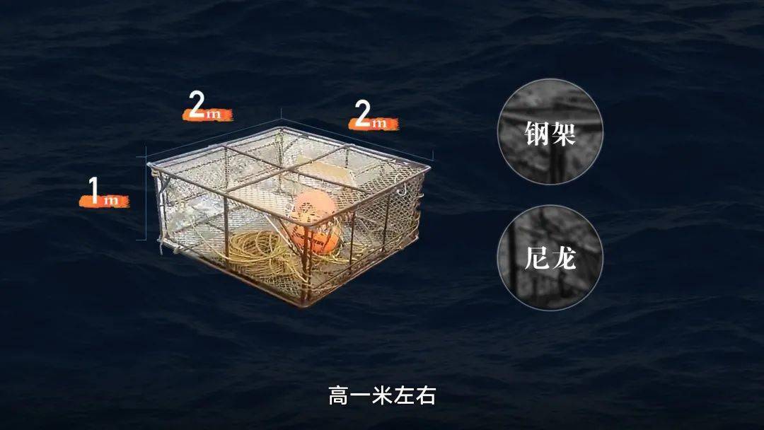 2025022625068083.jpeg 5.jpeg