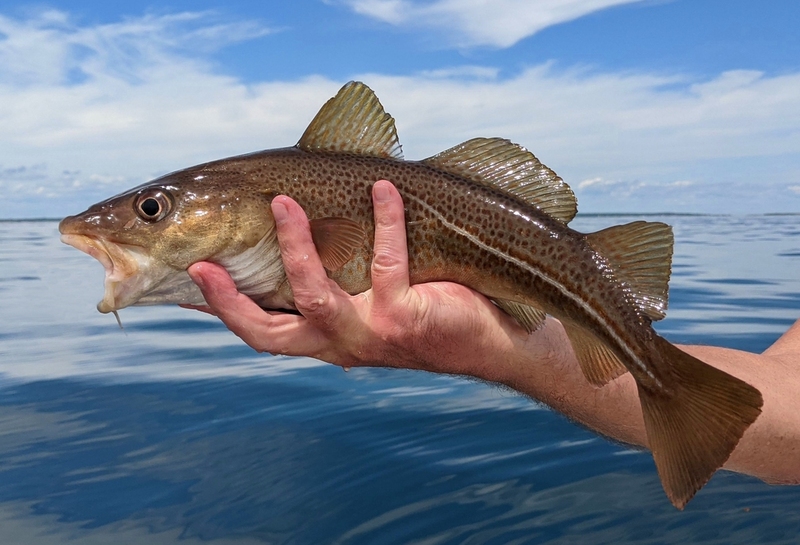 2025022710379723.jpg 1.jpg