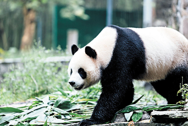 2025022711350448.jpg 3.jpg