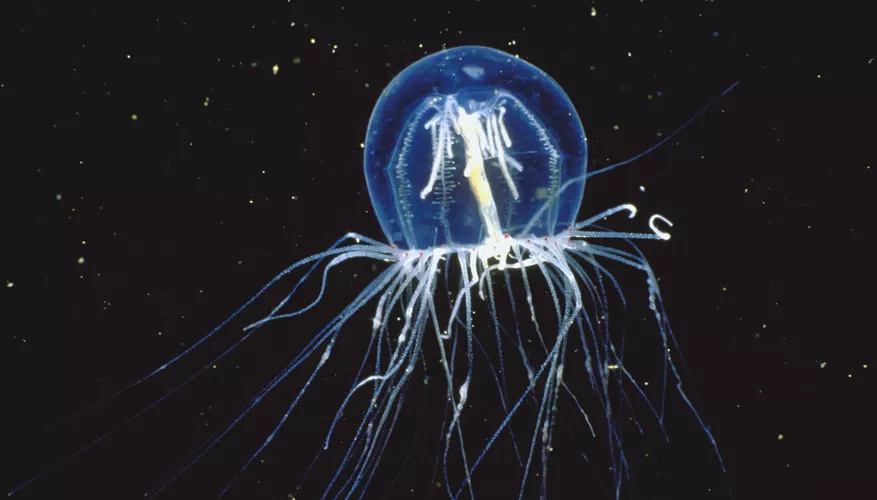 2025022799771879.webp 8.webp