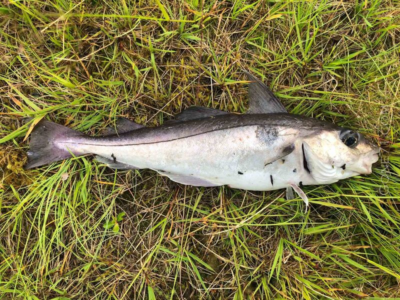 2025022712409080.jpg 5.jpg