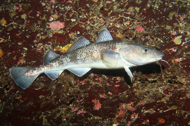 2025022712797020.jpeg 22.jpeg