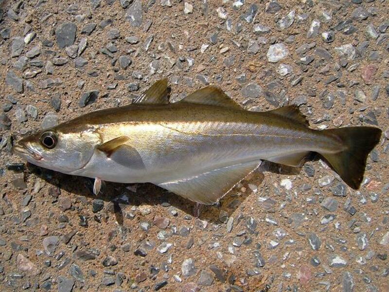 2025022714935581.jpg 9.jpg