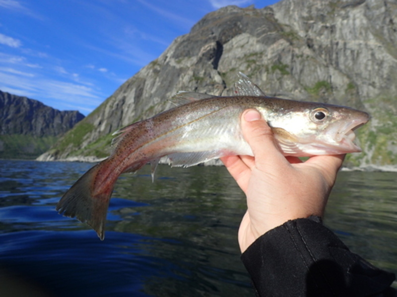 2025022715383165.jpg 7.jpg