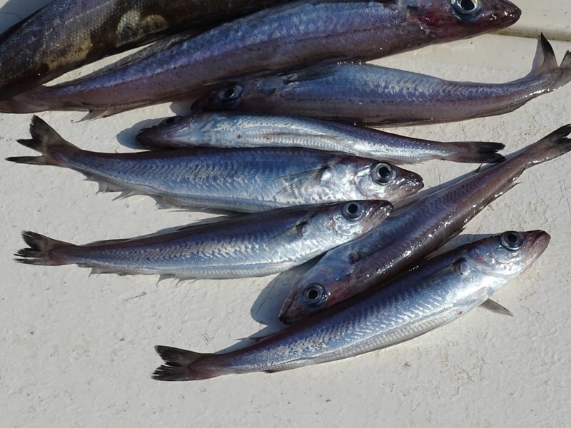 2025022716194508.jpg 88.jpg