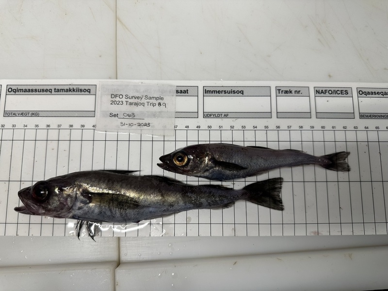 2025022716884445.jpg 66.jpg