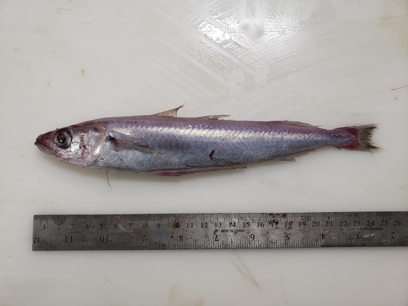 2025022717454057.jpg 8.jpg