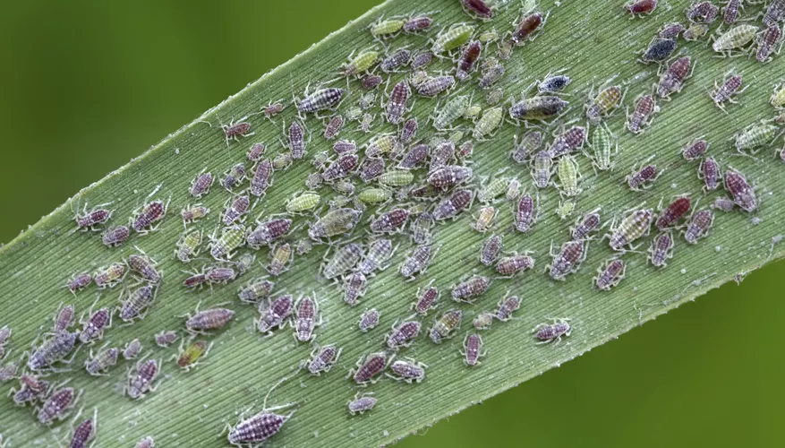 2025022719063350.webp 2.webp