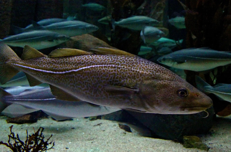 2025022729416685.jpg 124.jpg