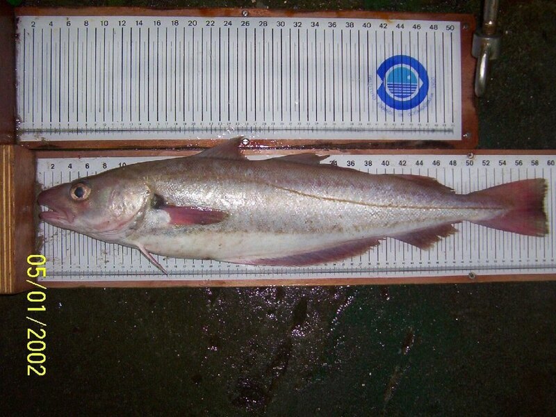 2025022744983972.jpg 77.jpg