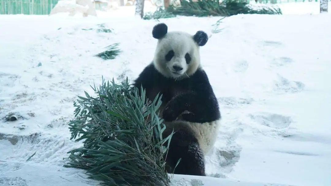 2025022759142521.jpeg 4.jpeg