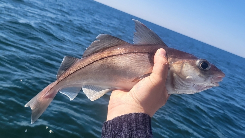 2025022762037562.jpeg 55.jpeg