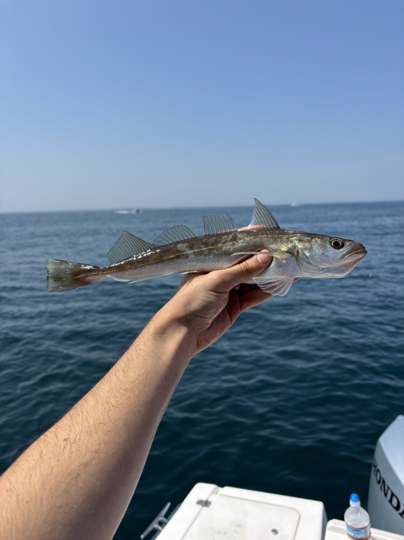 2025022796736309.jpeg 101.jpeg