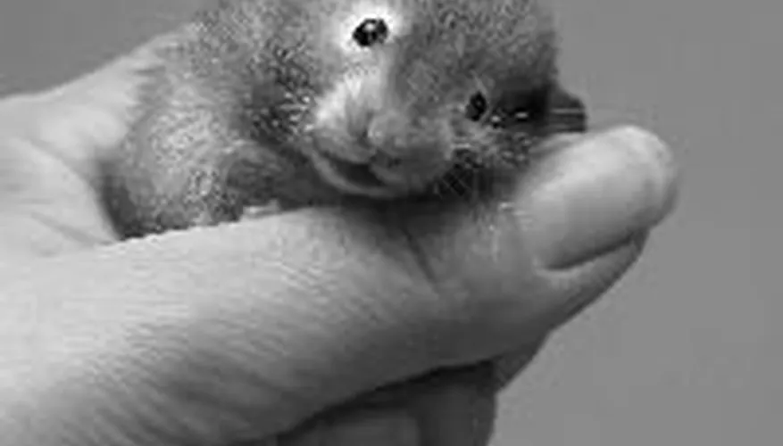 2025022814768483.webp 4.webp