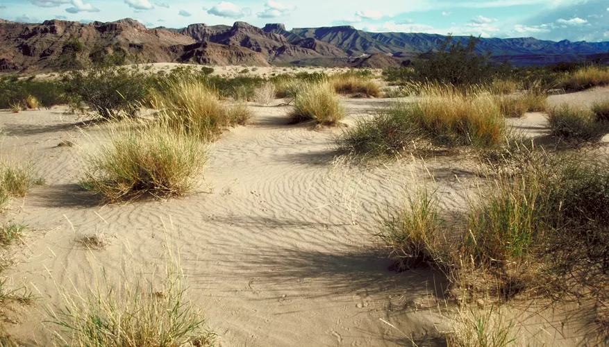 2025022872974400.webp 3.webp