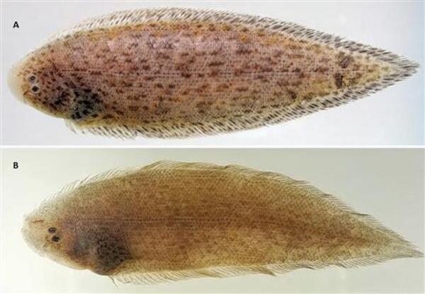 2025030211543125.jpg 88.jpg