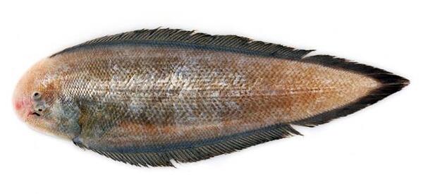 2025030220919027.jpg 9.jpg