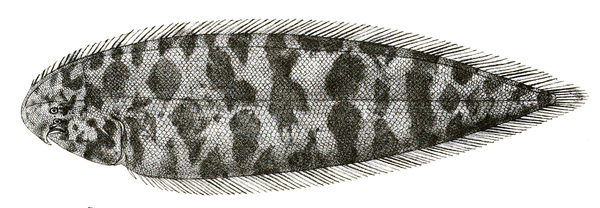 2025030272196805.jpg 5.jpg