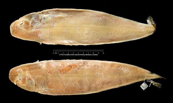 2025030219927267.jpeg 3.jpeg