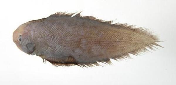 2025030215544632.jpg 99.jpg