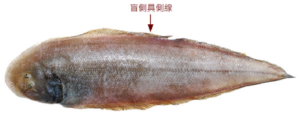 2025030269697030.jpg 101.jpg