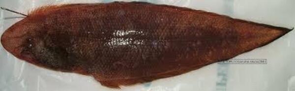 2025030220718344.jpeg 7.jpeg