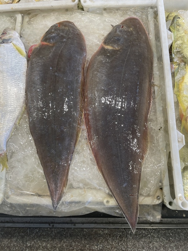 2025030220803585.jpeg 1.jpeg