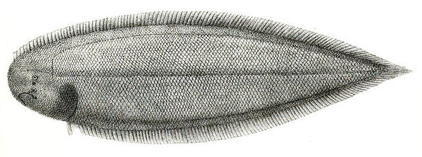 2025030214832856.jpg 10.jpg