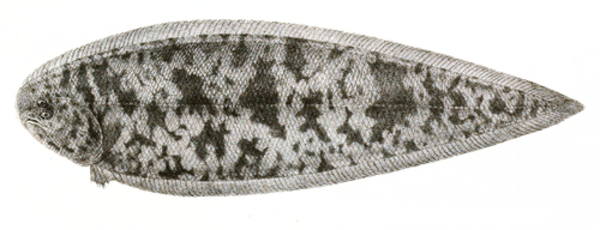 2025030246424204.jpg 8.jpg