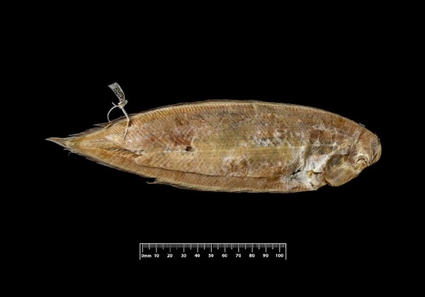 2025030220182630.jpg 44.jpg