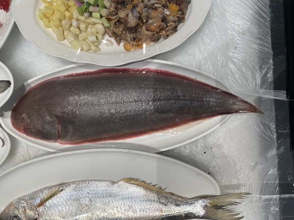 2025030278194516.jpg 11.jpg