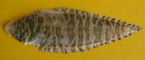 2025030211229644.jpg 55.jpg