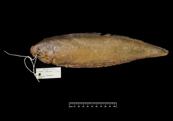 2025030216088773.jpg 22.jpg