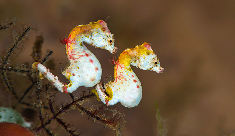 2025030310810002.jpg 5.jpg