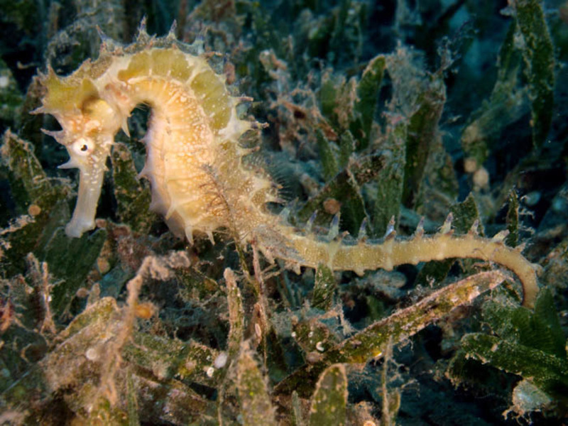 2025030311470809.jpg 99.jpg