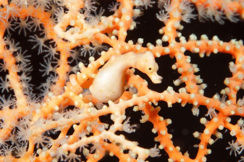 2025030312527183.jpg 3.jpg