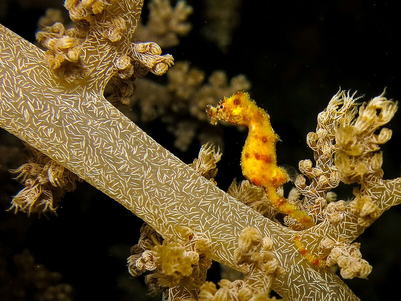 2025030314164082.jpg 10.jpg