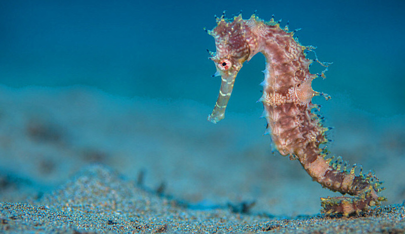 2025030316730984.jpg 7.jpg