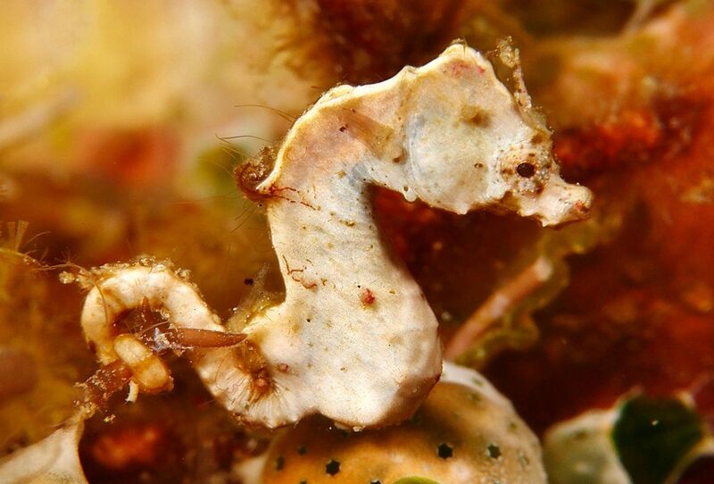 2025030317876201.jpg 55.jpg