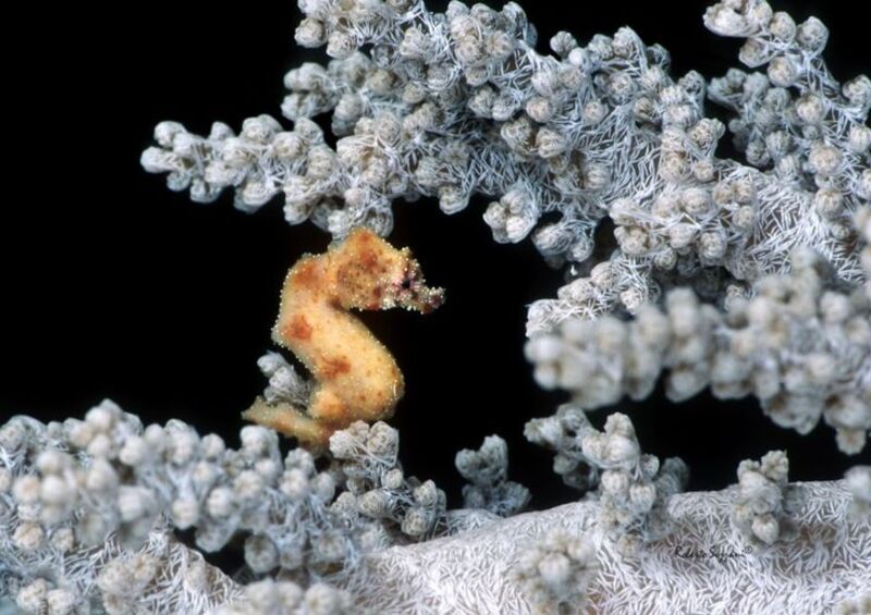 2025030317879770.jpg 101.jpg