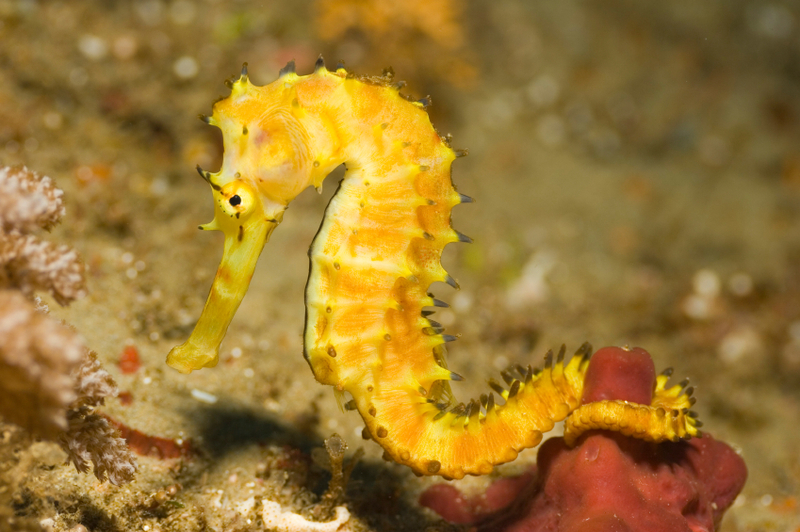 2025030319340716.jpg 8.jpg