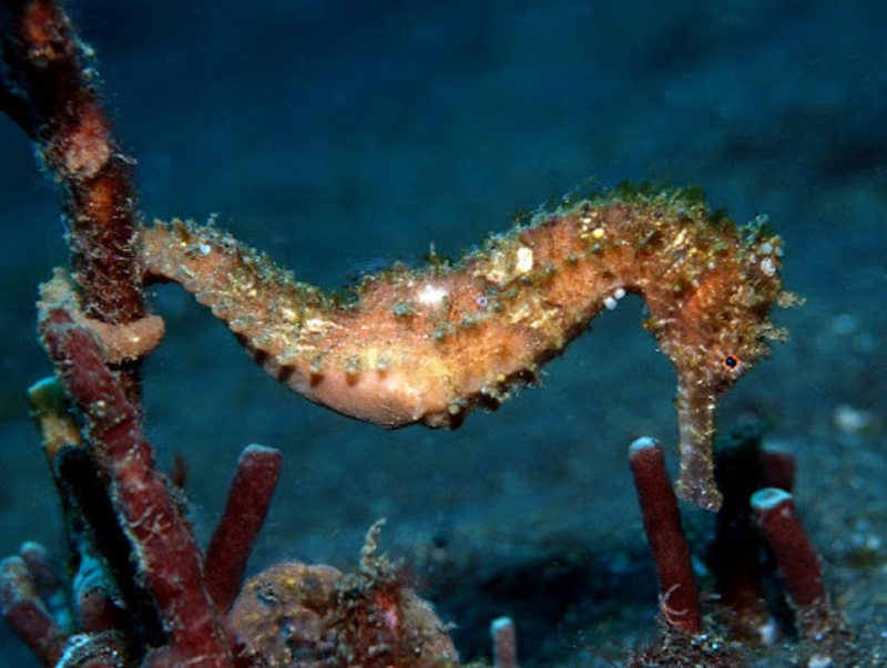 2025030320172165.jpg 77.jpg