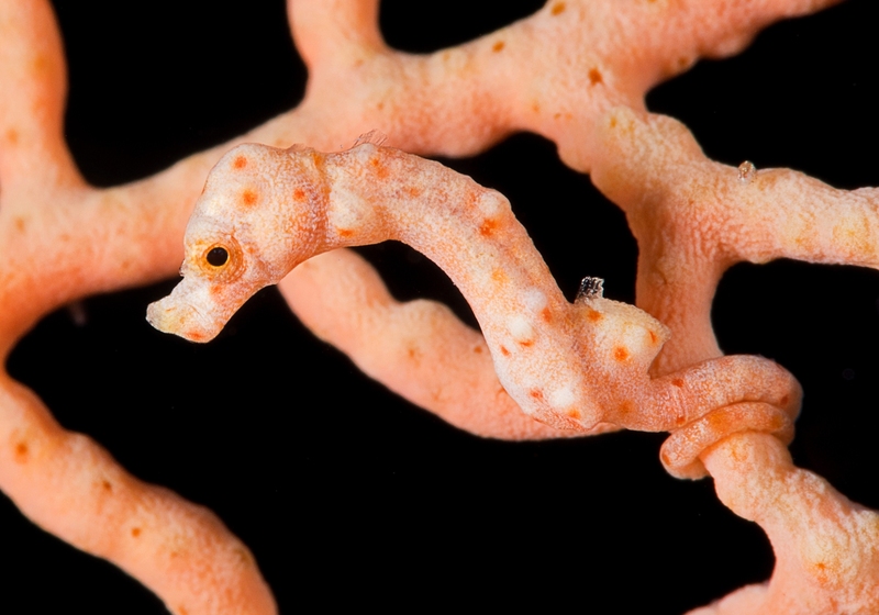 2025030320969773.jpeg 33.jpeg