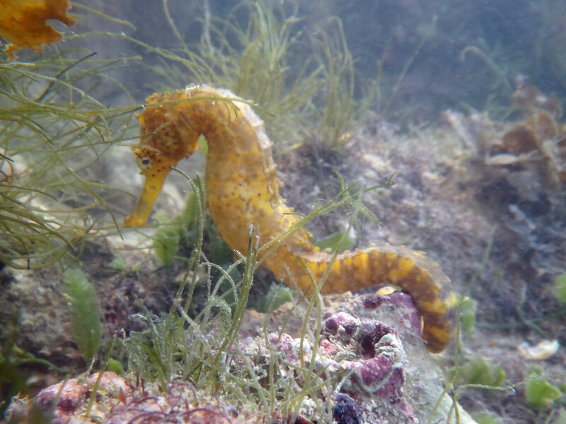 2025030337021843.jpg 44.jpg