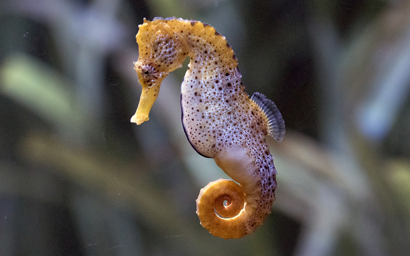 2025030352680196.jpg 22.jpg