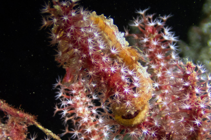 2025030368963917.jpg 66.jpg