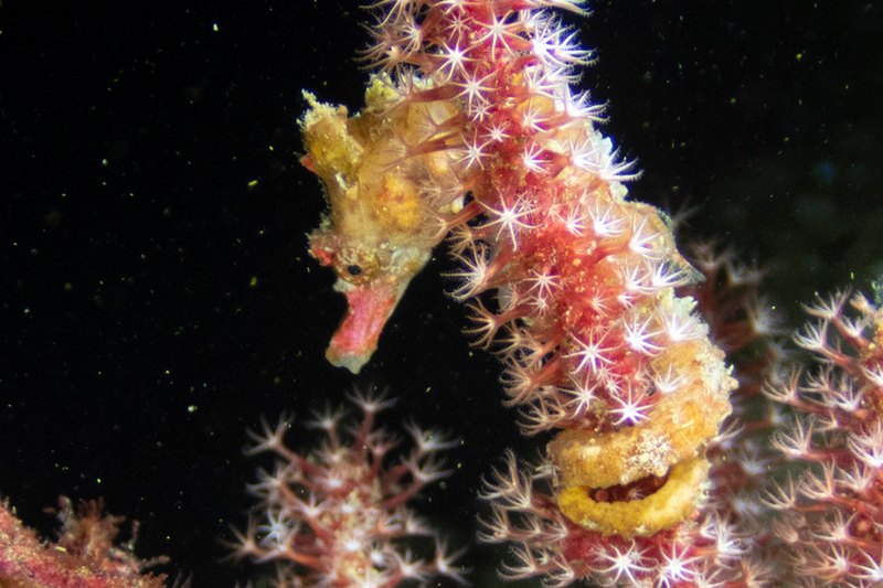 2025030371848263.jpg 6.jpg