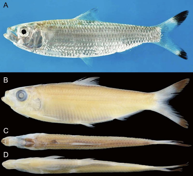 2025030511191220.jpg 77.jpg