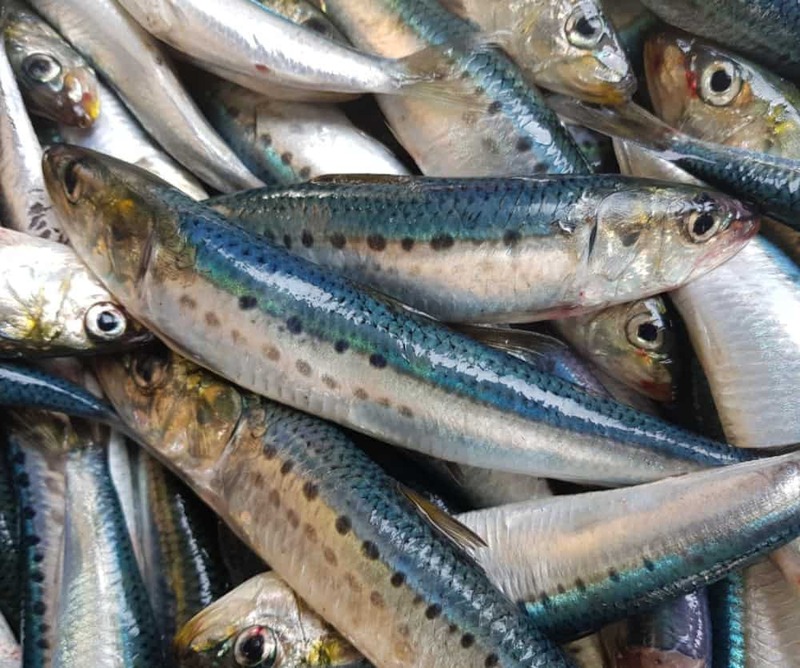 2025030513433923.jpg 11.jpg