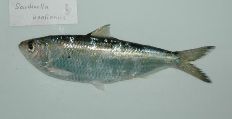 2025030513760519.jpg 66.jpg